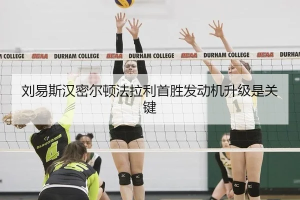 liu-yi-si-han-mi-er-dun-fa-la-li-shou-sheng-fa-dong-ji-sheng-ji-shi-guan-jian-3-667.jpg
