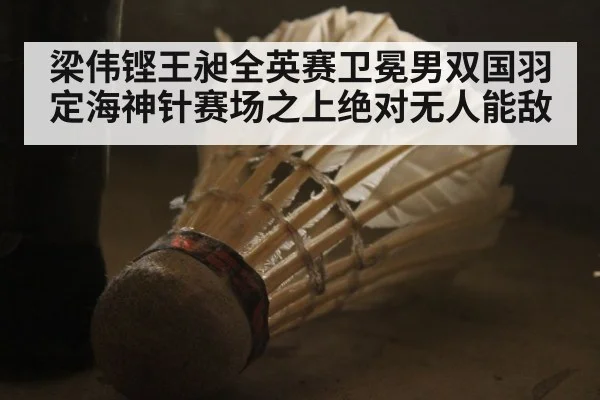 梁伟铿王昶全英赛卫冕男双国羽定海神针赛场之上绝对无人能敌